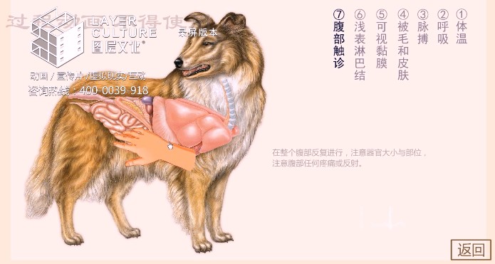 ػʍuDĻ޹˾/ӄӮ/WУ/̌WnӮ