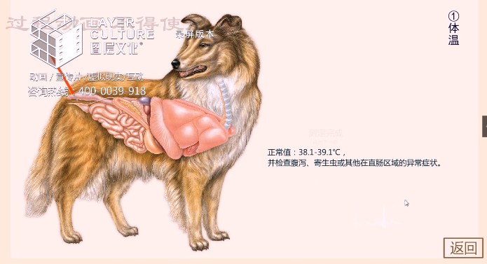 ػʍuDĻ޹˾/ӄӮ/WУ/̌WnӮ