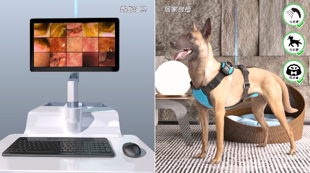 tSaƷʾӮ